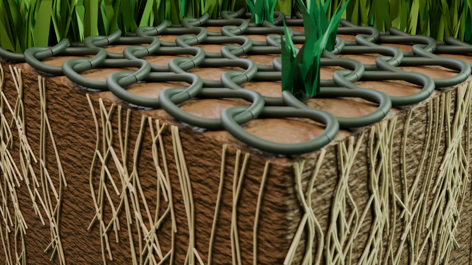 3D-makro af det strikkede net og rødderne