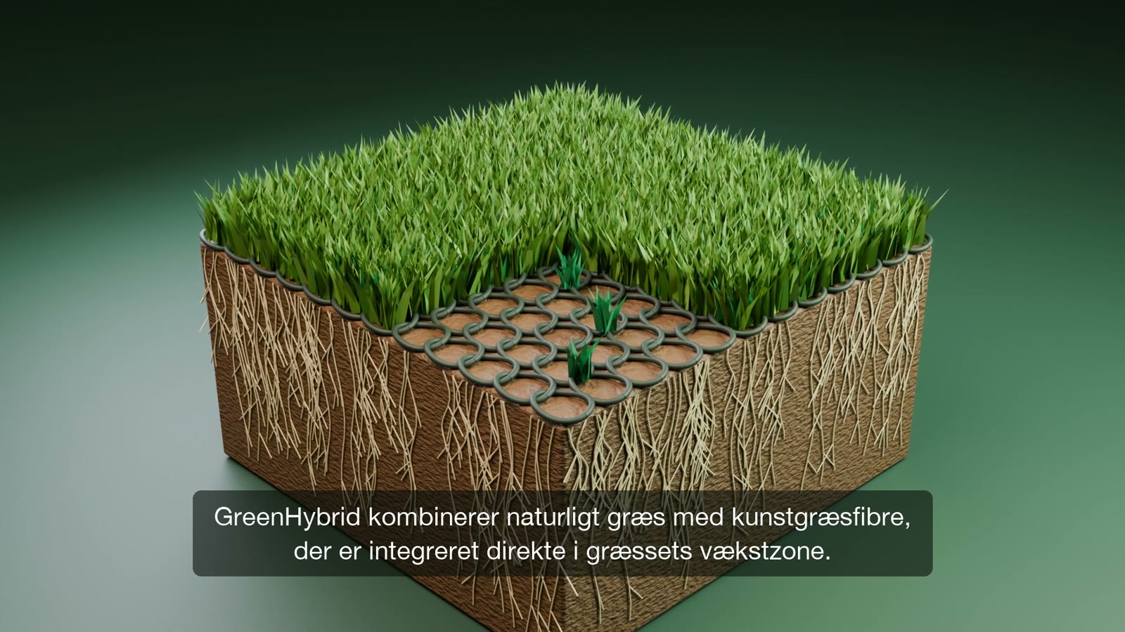 3D-snit gennem GreenHybrid