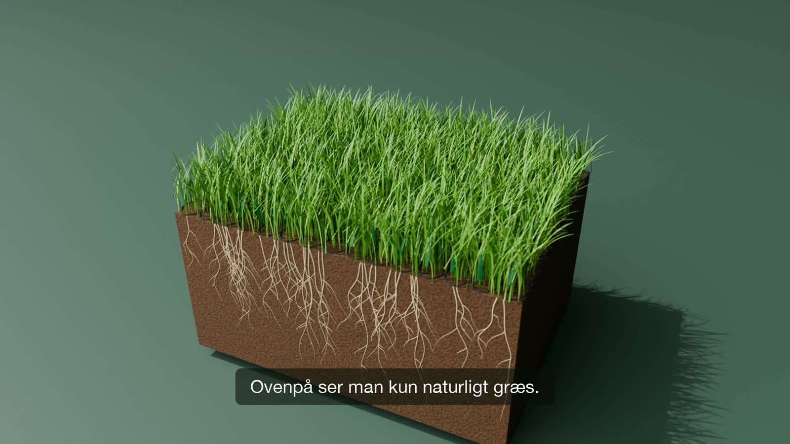 Naturgræs vokser gennem opbygningen